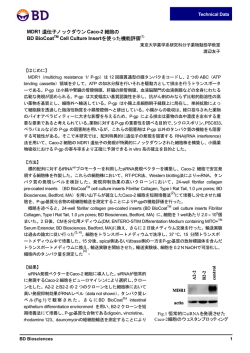 MDR1 遺伝子ノックダウン Caco-2 細胞の BD