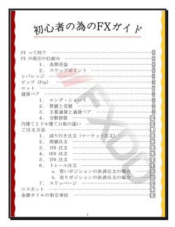 FX初心者ガイド (PDF)