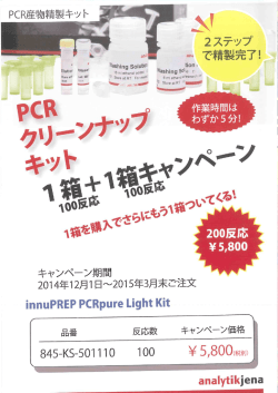 アナリティクイエナジャパン PCRクリーンナップキット1箱プラス1箱