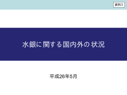 水銀に関する国内外の状況