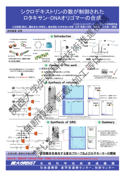 シクロデキストリンの数が制御されたロタキサン-DNA