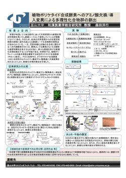 PDF - 富山大学