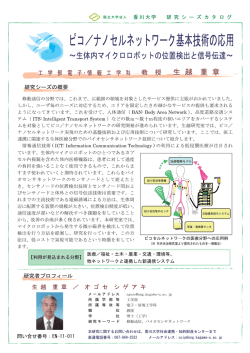 ナノセルネットワーク基本技術の応用 ～生体内マイクロロボットの位置