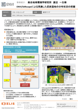 ENVI/SARscapeによる荒廃した泥炭湿地の分布状況の把握