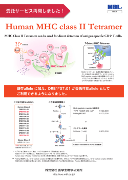 Human MHC class II Tetramer