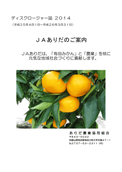 ディスクロージャー誌平成25年度