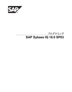 SAP Sybase IQ 16.0 SP03