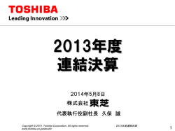 2013年度 連結決算