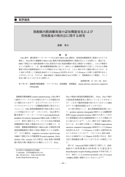 本文PDF [911K] - J