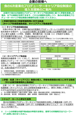 「企業向け食Pro.キャリア段位制度の導入支援策」（PDF形式：543KB）