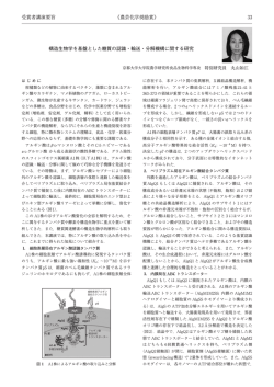 構造生物学を基盤とした糖質の認識・輸送・分解機構