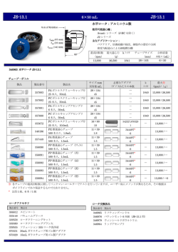 JS-13.1 JS-13.1