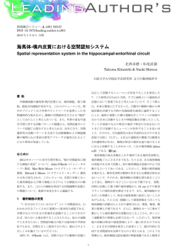 海馬体-嗅内皮質における空間認知システム