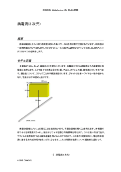 渦電流(3次元)・手順書(PDF形式)