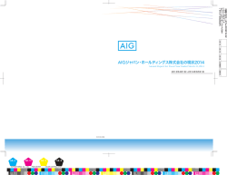 AIGジャパン･ホールディングス株式会社の現状2014(2013年度)