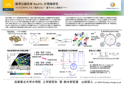 新奇な磁性体 Na2IrO3 の理論研究 兵庫県立大学大学院 工学研究科