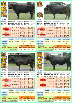 種雄牛紹介③ - 鹿児島県肉用牛改良研究所