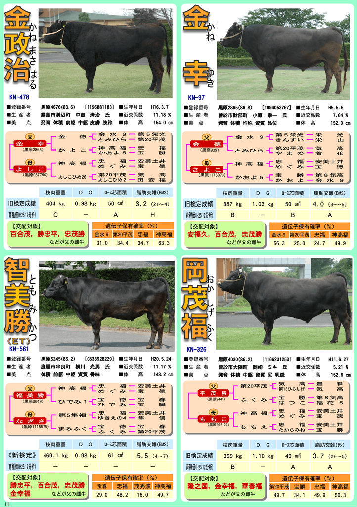 種雄牛紹介 鹿児島県肉用牛改良研究所