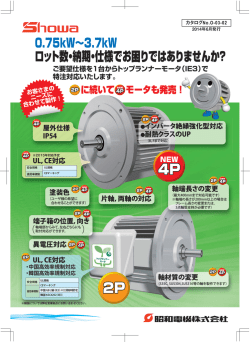 0.75kW∼3.7kW ロット数・納期・仕様でお困りではありません