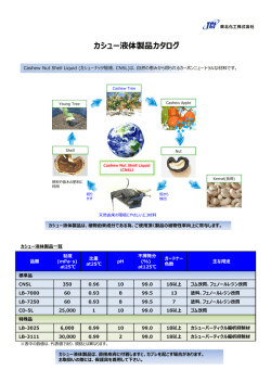 カシュー液体製品 製品一覧(PDF 1264KB)