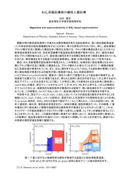 BiS2 系超伝導体の磁性と超伝導