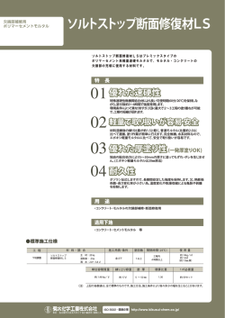 ソルトストップ断面修復材LS vol.1 (201410)
