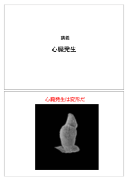 医学部発生学(11)【pdf(2.99MB)】