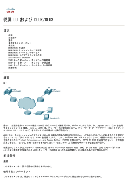 従属 LU および DLUR/DLUS