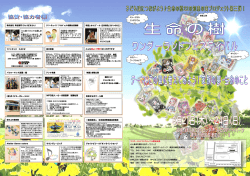 生命の樹ワンダーランドフェスタプログラム