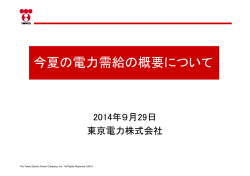 今夏の電力需給の概要について（PDF 271KB）