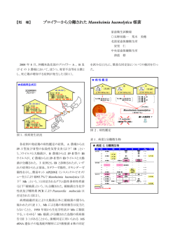 ブロイラーから分離されたMannheimia haemolytica様菌（PDF：567KB）