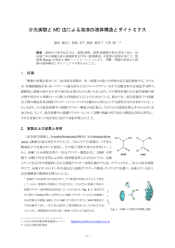 分光実験と MD 法による溶液の液体構造とダイナミクス