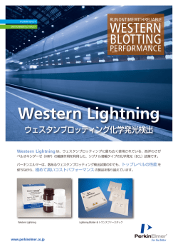Western Lightning - 株式会社パーキンエルマージャパン