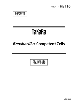 Brevibacillus Competent Cells