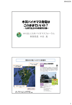 木質バイオマス発電はこのままでいいの?（PDF）