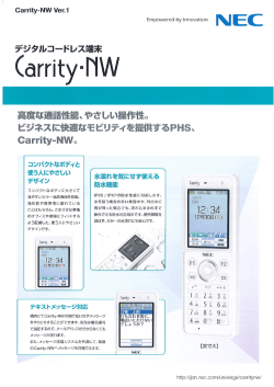 NEC / Carrity-NW（PDF/11.7MB）
