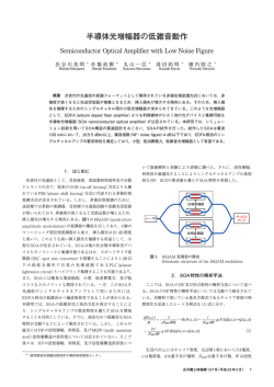 全文（PDF 953KB）