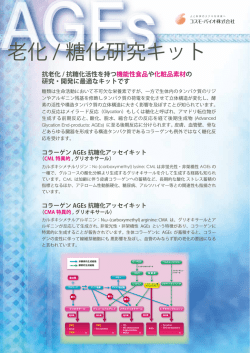 PDFダウンロード
