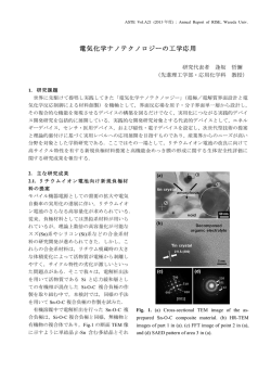 2013年 - 早稲田大学理工学術院総合研究所