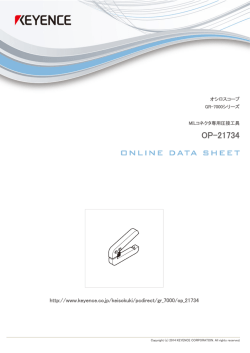 [OP-21734]株式会社キーエンス KEYENCE Japan