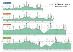 生石高原高低差OL Web表示用