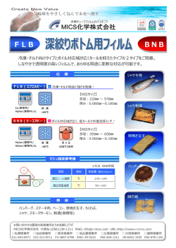 FLB BNB - MICS化学