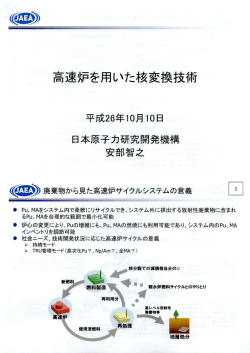 高速炉を用いた核変換技術
