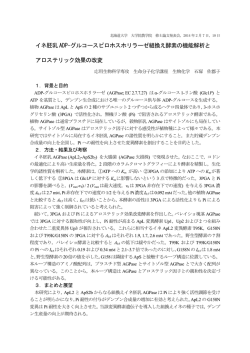 イネ胚乳 ADP-グルコースピロホスホリラーゼ組換え