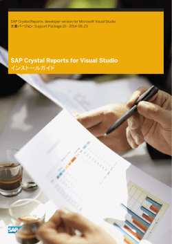 SAP Crystal Reports for Visual Studio インストール