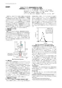 大気プラズマ/微細液滴複合法の開発