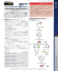 ダウンロード