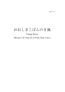 おおしまこばんのき属