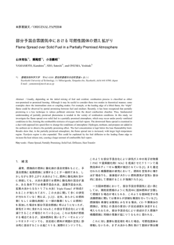 部分予混合雰囲気中における可燃性固体の燃え拡がり