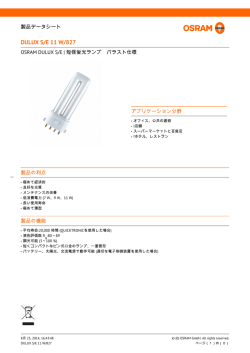 DULUX S/E 11 W/827